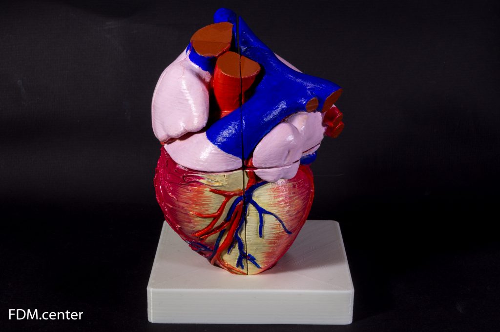 Анатомическая модель сердца кубик рубика 3d печать