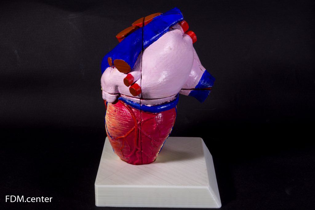 Анатомическая модель сердца кубик рубика 3d печать