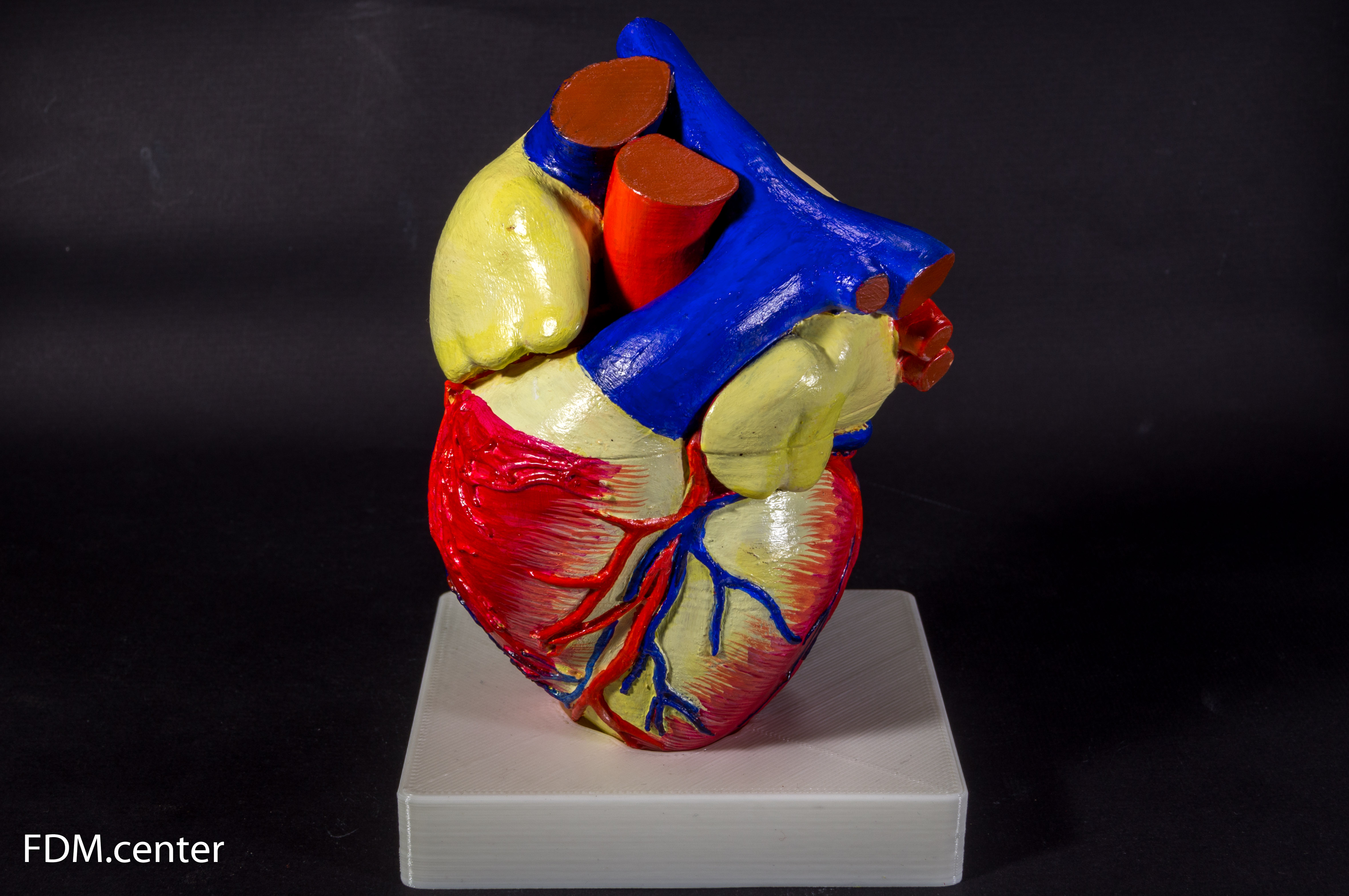 Трехмерная модель сердца